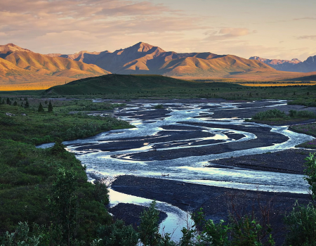 Denali National Park (2) Denali National Park
