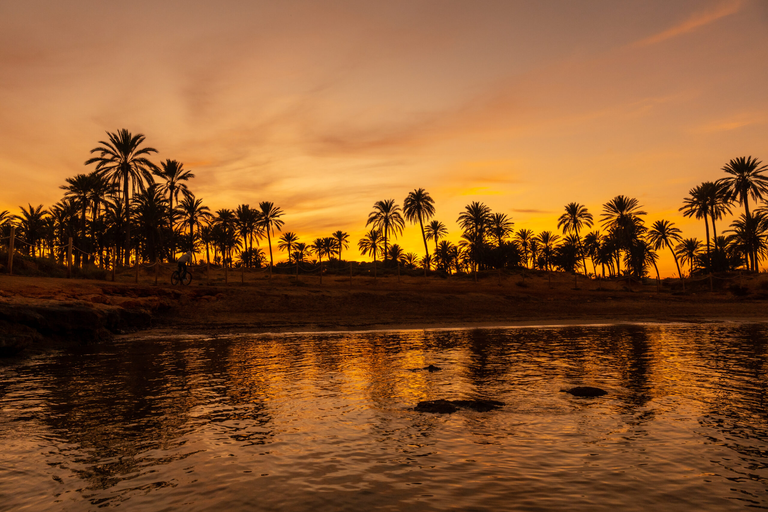Silhouette of palm trees in an orange sunset in the town of Torrevieja. White coast Rome