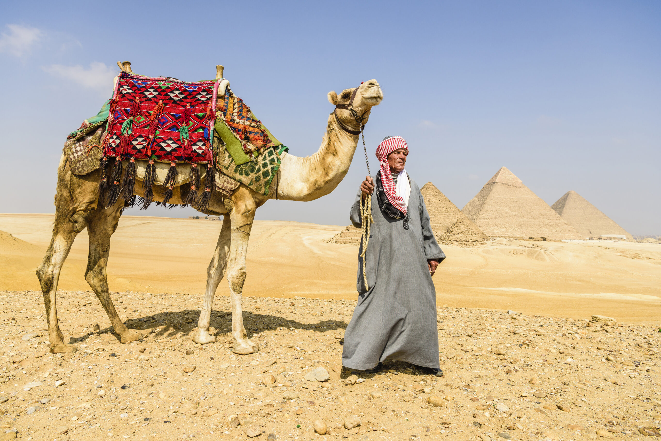 Egypt,Three pyramids, monuments and burial tombs of the pharaohs Khufu, Khafre, and Menkaure, a tourist guide holding a camel Alaska
